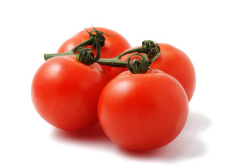 Tomato branch