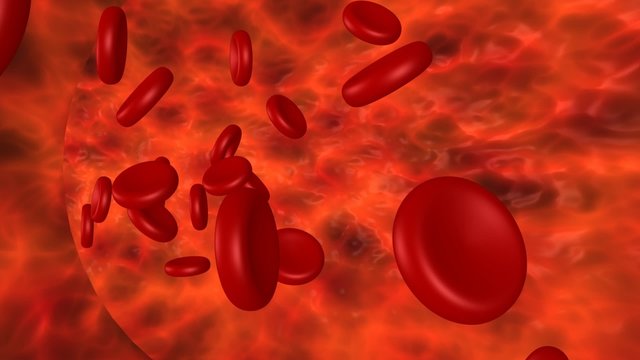 flow of red blood cells in an artery or vein