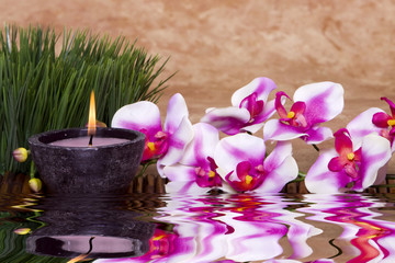 Spa candle and orchid flowers