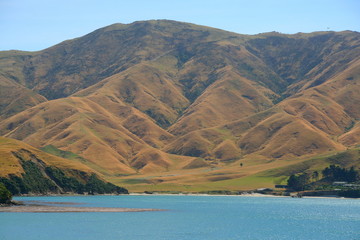 Picton Coast © Marco Desscouleurs
