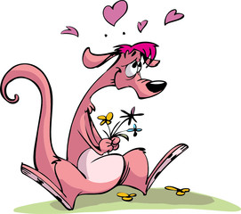 kangaroo in love