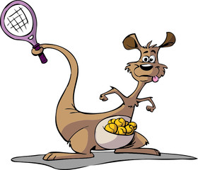 tennis kangaroo