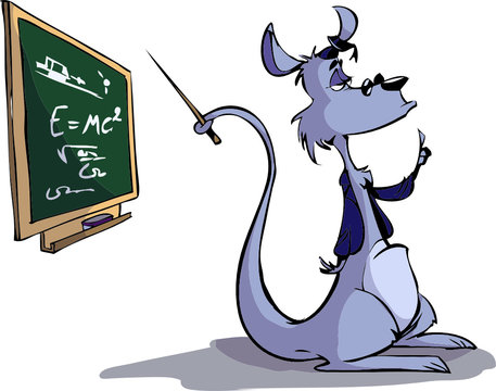 teacher kangaroo