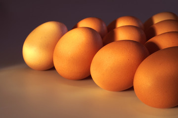 eggs