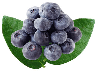 Blue Berry and Leaves