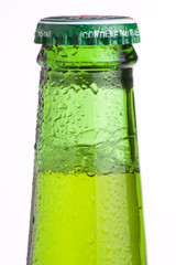 fresh cold and tasty beer