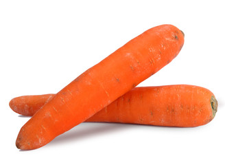 Carrot vegetable
