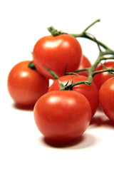 Fresh Tomatoes on the Vine