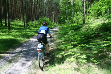 Fototapeta premium Cyclist