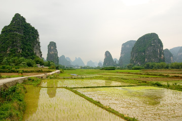 Rural landscape near Yangshuo