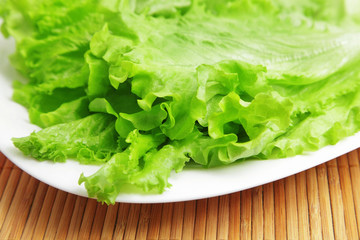 Lettuce