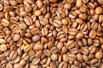 coffee beans