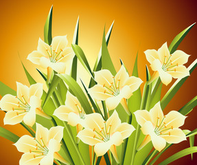 Flowers Illustration 19