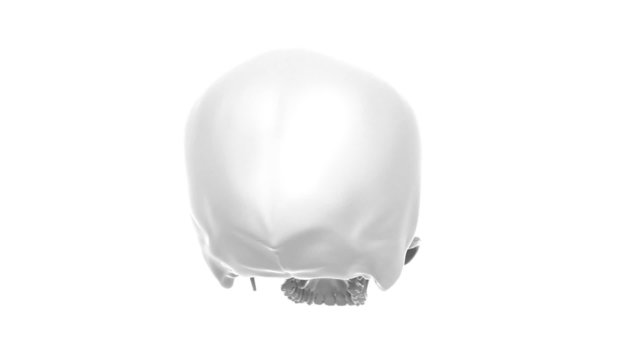Rotating skull