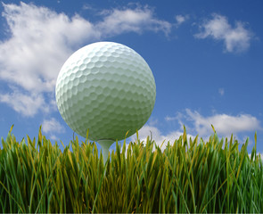 golf-ball on green