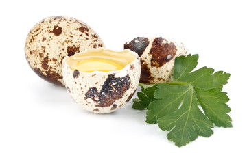 Fresh quail eggs