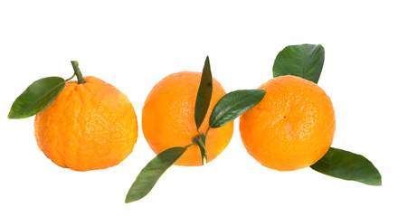 Tangerines isolated on white background
