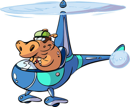 Helicopter hippo