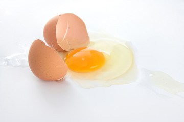 Chicken egg