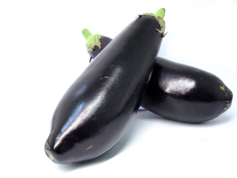 fresh eggplant - aubergine