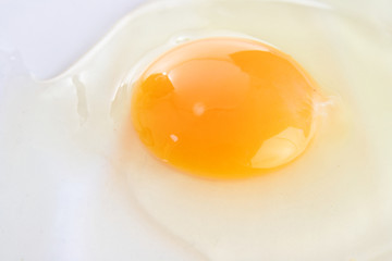 Chicken egg