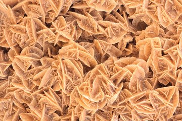 rose from sahara - mineral