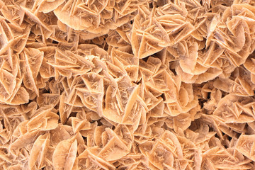 rose from sahara - mineral