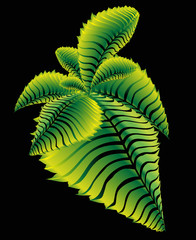 Extraterrestrial leaf sculpture.vector