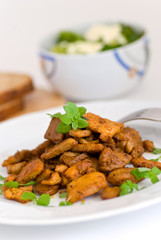 Gyros auf Teller mit Brokkoli Salat