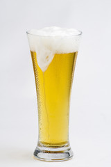 fresh cold and tasty beer