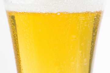 fresh cold and tasty beer