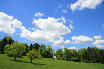 Landscape at Spring