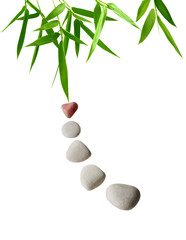 Obraz na płótnie Canvas Bamboo and Stones