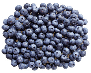 Blue Berry