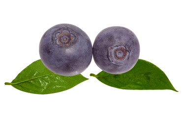 Blueberry and Leaves