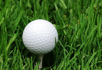 Golfball grass