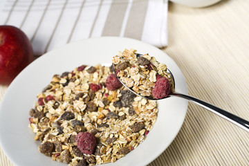 dry fruit muesli