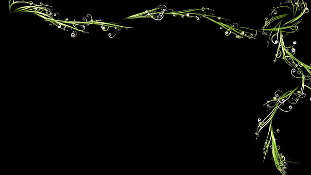 Animated growing plants frame,Alpha Channel