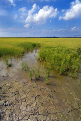 beautiful landscape with a blue sky