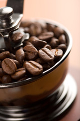 roasted coffee beans in coffee grinder