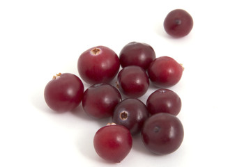 Cranberries on a white background