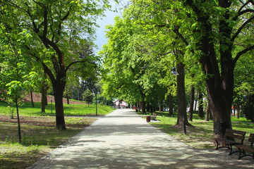 Fototapeta na wymiar Path in the green park