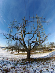 Natur und Technik