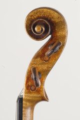 Caña violin