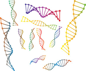 Colored vector illustration of dna model