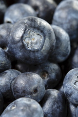Fresh Blueberry