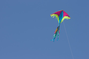 kite in sky