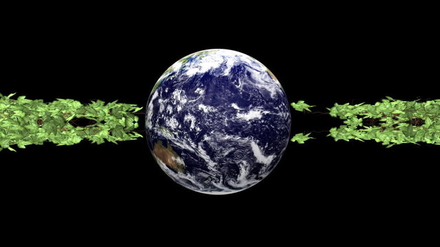 Earth globe and ivy growing from both sides