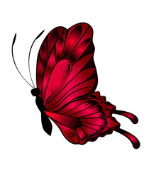 Beautiful butterflie © Forewer