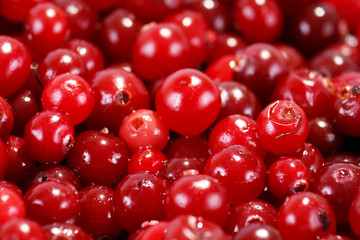cranberries
